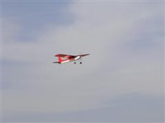 PICT1548.JPG